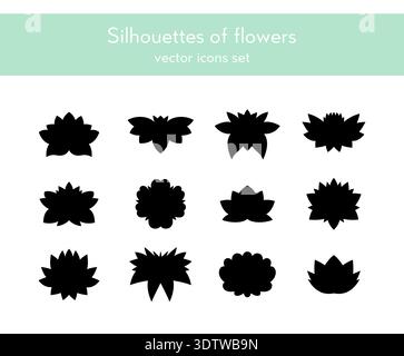 Collection de fleur, ensemble d'icônes isolé sur blanc Illustration de Vecteur