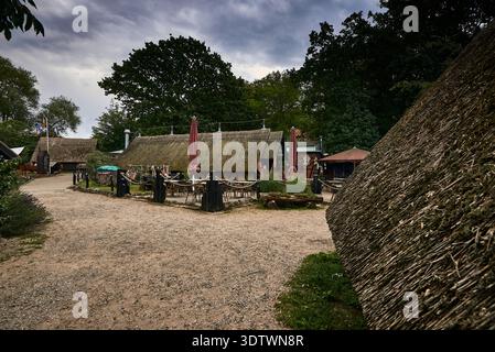 Une scène extérieure pittoresque avec des bâtiments traditionnels aux toits de chaume distinctifs sous un ciel nuageux spectaculaire. Un chemin de gravier serpente à travers Banque D'Images