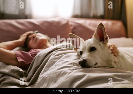 Femme caucasienne se reposant dans le lit avec chien réconfortant pendant la maladie Banque D'Images
