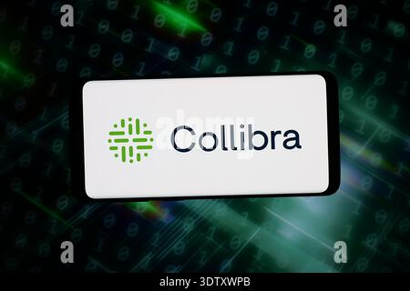 Stuttgart, Allemagne - 2026-02-02 : dans cette illustration photo, le logo de la société de gouvernance de données Collibra est affiché sur un smartphone Banque D'Images