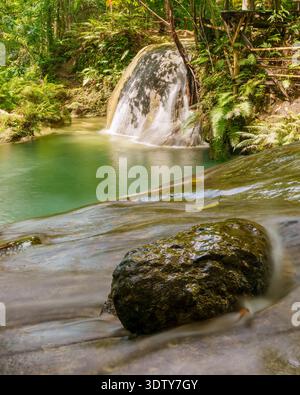 Une petite cascade coule sur une roche lisse dans une piscine forestière verte claire entourée d'une végétation tropicale dense. Banque D'Images