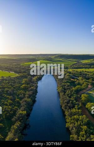 Une vue aérienne élevée montre une rivière calme bordée d'arbres denses et serpentant à travers des terres agricoles verdoyantes dans la campagne d'Australie occidentale. Banque D'Images