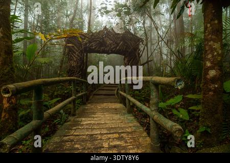Une étroite passerelle en pierre avec des balustrades mène à travers la végétation dense de la forêt tropicale vers une structure en arche en bois, entourée de brume. Banque D'Images