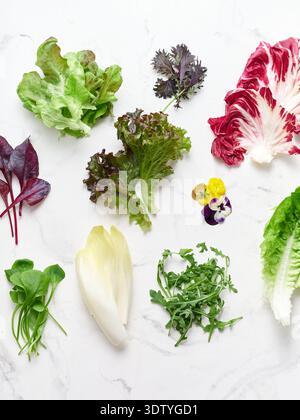 Une sélection de feuilles de laitue, y compris radicchio, romaine, roquette, et d'autres est disposée sur un comptoir en marbre blanc avec des fleurs comestibles, prêtes à l'emploi Banque D'Images
