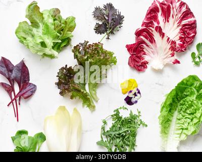 Une exposition de diverses feuilles de laitue, y compris le radicchio, la romaine, la roquette et la chicorée disposées sur un comptoir en marbre blanc. Ceci met en valeur Fresh sal Banque D'Images