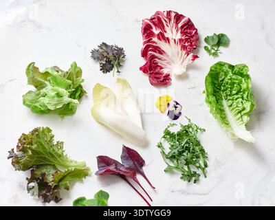 Sur un comptoir en marbre blanc, une sélection de feuilles de laitue et de légumes verts est disposée pour un repas végétalien. Cet affichage comprend radicchio, romaine, roquette Banque D'Images