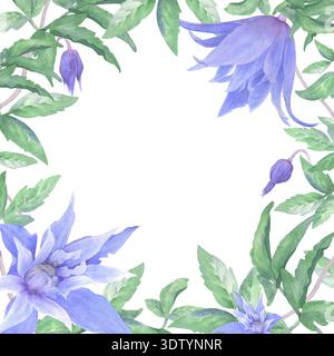Un cadre de fleurs clématites, de bourgeons et de feuilles vertes, peint à la main à l'aquarelle sur un fond blanc. Convient pour l'impression sur des cartes et des invitations. Banque D'Images