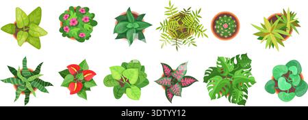 Vue de dessus des fleurs en pot. Plantes de fleurs à la maison, plante d'intérieur aérienne de jardin de pot de fleurs de jardin cactus dans des pots décoration intérieure de bureau, ensemble de dessins animés illustration vectorielle soignée illustration originale Illustration de Vecteur