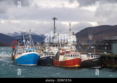 Harbour, Ullapool, Écosse, Royaume-Uni Banque D'Images