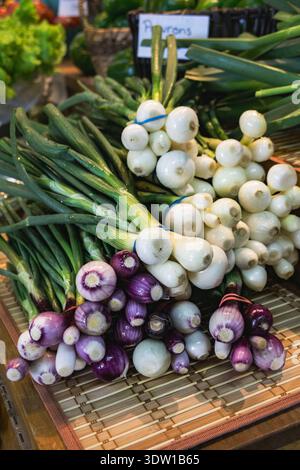 Produits frais, oignons de printemps, échalotes dans un marché au Québec, Canada Banque D'Images