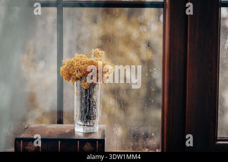 Un vase en verre transparent rempli de fleurs séchées se trouve près d'une fenêtre striée de pluie. Gros plan d'un vase de fleurs séchées sur une table devant un windo Banque D'Images
