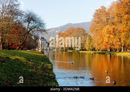 Une scène automnale tranquille avec un feuillage vibrant et un lac calme avec des canards. Banque D'Images
