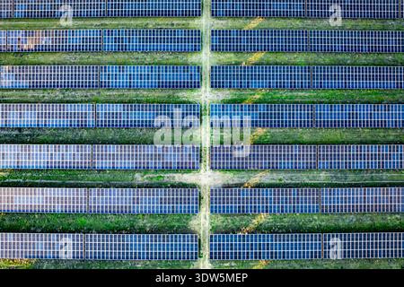 Vue aérienne d'une vaste ferme solaire, où des rangées de panneaux bleus contrastent avec le paysage verdoyant, créant une mosaïque d'énergie durable, Cowley Bald Banque D'Images
