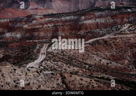 Vue de serpents de chemin de terre sinueux à travers un paysage aride et multicouche, où les rouges et les bruns terreux rencontrent une végétation clairsemée, Gorafe, Andalucía, Espagne. Banque D'Images
