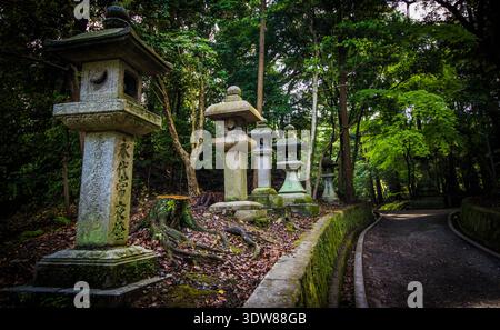 Lanternes du sanctuaire Fushimi Inari Taisha, Kyoto, Japon Banque D'Images