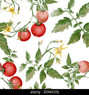 Motif aquarelle sans couture avec tomates cerises, feuilles vertes et fleurs jaunes. Illustration botanique peinte à la main de légumes frais du jardin sur Banque D'Images