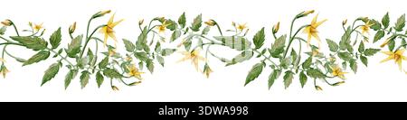 Bordure horizontale sans couture de vigne de tomate peinte à la main avec des feuilles vertes et des fleurs jaunes. Garniture botanique aquarelle réaliste idéale pour la cuisine Banque D'Images