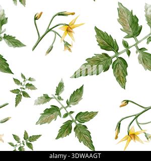 Motif aquarelle sans couture avec feuilles de tomate, tiges et fleurs jaunes. Illustration botanique peinte à la main isolée sur fond clair, naturelle Banque D'Images