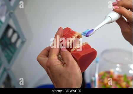 Dentiste utilisant une brosse à dents électrique sur un modèle de fausse mâchoire artificielle. Soins dentaires, traitement, hygiène dentaire buccale avec brosse.hygiène dentaire buccale Concepp Banque D'Images