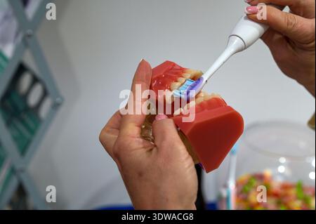 Dentiste utilisant une brosse à dents électrique sur un modèle de fausse mâchoire artificielle. Soins dentaires, traitement, hygiène dentaire buccale avec brosse.hygiène dentaire buccale Concepp Banque D'Images