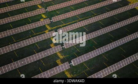 Vue de dessus des panneaux d'énergie solaire disposés en rangées sur un champ vert éclairé par la lumière du soleil du matin. Banque D'Images