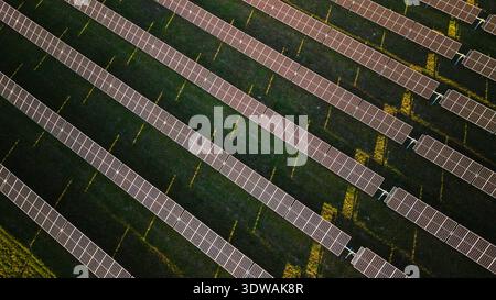 Vue aérienne de dessus de panneaux solaires disposés en rangées diagonales sur un champ vert, produisant de l'électricité renouvelable sous la lumière du soleil. Banque D'Images