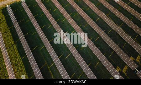Vue de dessus de la grande centrale solaire avec des rangées de panneaux photovoltaïques générant de l'électricité renouvelable sous la lumière du soleil. Banque D'Images