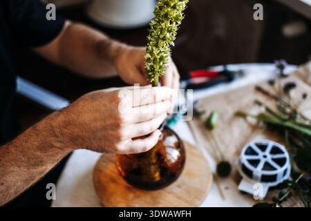 Les mains placent la grande tige de fleur verte dans le vase en verre sur la table. Arrangement floral japonais, esthétique minimaliste, art méditatif, style de vie zen Banque D'Images