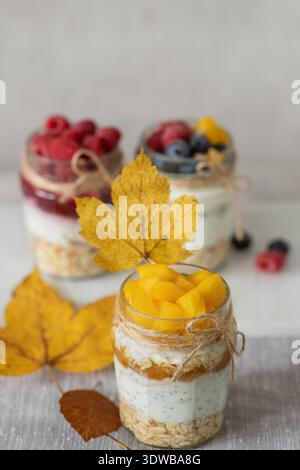 Savoureux et sain : pudding délicat au yaourt avec сhia, tranches de mangue, avoine et confiture dans un pot en verre. Mise au point sélective avec espace de copie Banque D'Images