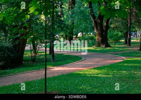 Un parc serein se déroule sous la lumière du soleil éclairant un chemin courbe entouré d'herbe verte vibrante et d'arbres matures Banque D'Images