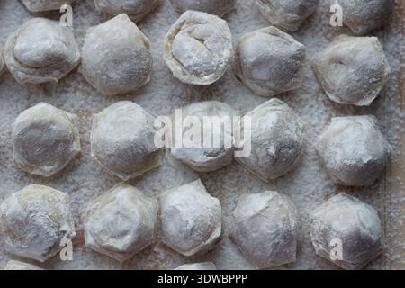 Pelmeni brut disposés en rangées sur une surface en bois farinée. Vue aérienne des boulettes traditionnelles d'Europe de l'est avant la cuisson Banque D'Images