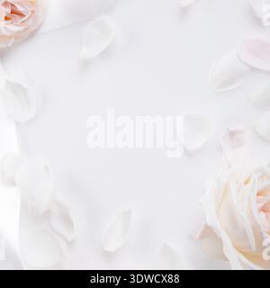 Cadre floral carré avec blush et roses blanches sur fond léger doux. Banque D'Images