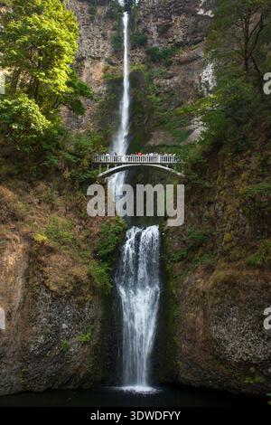 Chutes de Multnomah avec un pont piétonnier enjambant deux niveaux, entourées de verdure luxuriante dans l'Oregon Banque D'Images