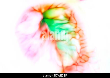 Œuvres d'art abstraites avec des coups de pinceau vibrants de couleur, se fondant parfaitement dans un style impressionniste fluide. La composition dynamique évoque un sen Banque D'Images
