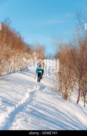 Un couple de randonnées à travers les sentiers enneigés des Lofoten en hiver, entouré par la beauté sereine des arbres chargés de neige et un ciel bleu immaculé, profitant de th Banque D'Images