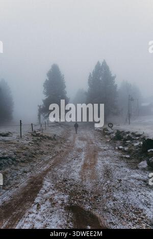 Un paysage hivernal serein à Rasos de Peguera, Berga, Espagne. Un brouillard dense enveloppe la scène tranquille, avec des arbres poussiéreux de neige et un chemin sinueux créant Banque D'Images