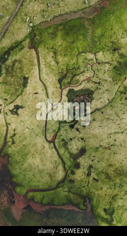Vue aérienne montrant un paysage verdoyant et luxuriant avec des ruisseaux sinueux dans les Pyrénées, en Espagne, mettant en valeur des textures naturelles uniques et des motifs créés par th Banque D'Images