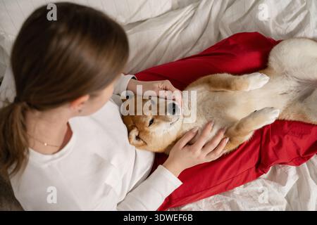 Une femme caresse doucement un chien Shiba Inu allongé sur ses genoux tout en étant assis sur un lit. Le moment confortable et intime capture le lien affectueux entre le sien Banque D'Images