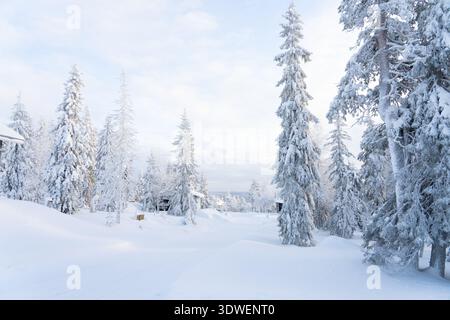La beauté sereine de Syote, en Finlande, capturée dans cette scène hivernale pittoresque. La neige recouvre le paysage, créant une atmosphère tranquille parmi les Banque D'Images