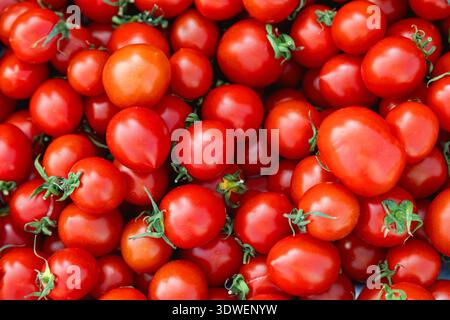 Une collection vibrante de tomates fraîches et mûres avec des peaux rouges brillantes et des tiges vertes. Parfait pour illustrer une alimentation saine, des concepts agricoles, ou Banque D'Images