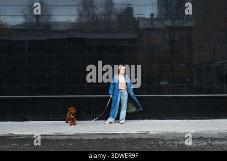 Une femme dans un manteau bleu élégant et des lunettes de soleil promène son chien brun sur un trottoir de la ville. La toile de fond urbaine complète son appe moderne et sophistiquée Banque D'Images
