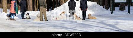 Un groupe de propriétaires de chiens et leurs différentes races assis et s'entrainant sur un chemin enneigé dans un parc public pendant une journée ensoleillée d'hiver. Banque D'Images