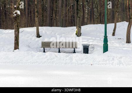 Un banc en bois et une poubelle peuvent se tenir à côté d'un chemin enneigé dans un parc d'hiver, entouré de grands pins. Banque D'Images