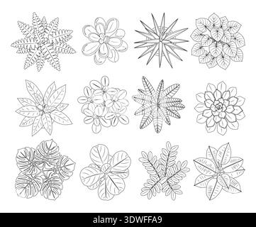 Ensemble de plantes d'intérieur dans l'art au trait de vue de dessus Illustration de Vecteur