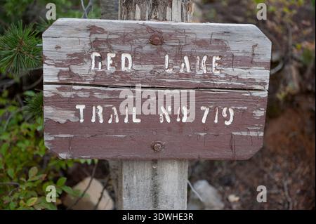 'Red Lake Trail No. 719' un vieux panneau de sentier du service forestier altéré dans la zone pittoresque d'Olallie en Oregon. Banque D'Images