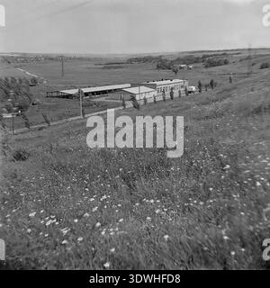 La photo historique en noir et blanc grand angle des années 1970 capture une vue panoramique des bâtiments industriels de Donrybkombinat depuis une colline fleurie dans le district de Slavyansk, RSS d'Ukraine, URSS. Le paysage comprend des installations de production de briques, des routes rurales et une vaste vallée avec des collines ondulantes et des colonies lointaines. Cette image d'archives authentique met en évidence l'ampleur de l'aquaculture soviétique, l'infrastructure régionale et la vie quotidienne régulière dans le Donbass pacifique avant la guerre, reflétant la prospérité. Banque D'Images