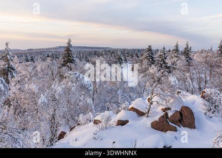 Vue depuis Grosser Lugstein du paysage hivernal avec des arbres enneigés et des branches couvertes de givre sur la crête des monts Ore au coucher du soleil, Z Banque D'Images