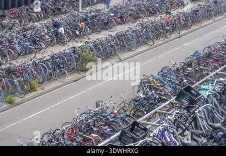 Pays-Bas.Une journée à Amsterdam.Grand parking pour vélos.Vue de dessus Banque D'Images