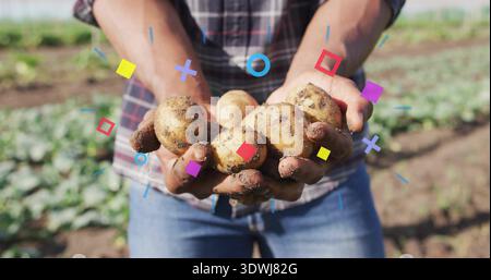 Tenant fermier présentant des pommes de terre et des mains sales dans le champ, chemise à carreaux, jeans, superpositions colorées Banque D'Images