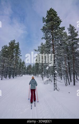 Skieur de fond glissant sur les sentiers enneigés immaculés du parc national Urho Kekkonen pendant l'heure dorée, en Laponie finlandaise Banque D'Images
